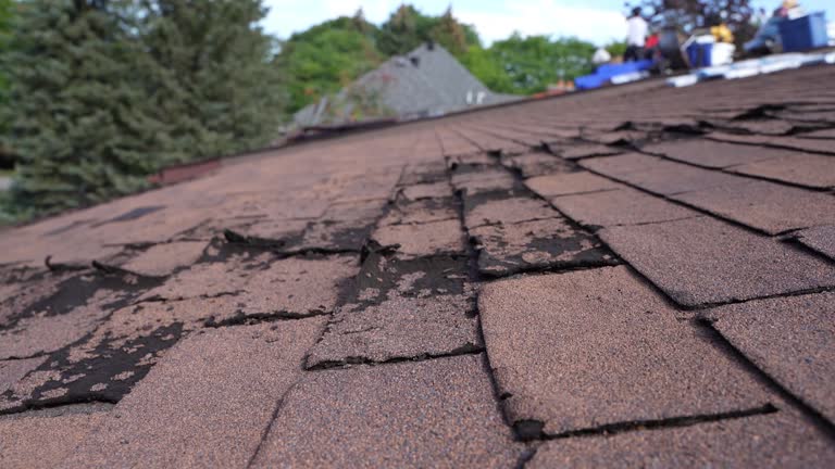 Best Skylight Installation and Repair  in Devola, OH